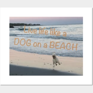 Live life like a dog on a beach Posters and Art